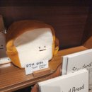 이토스터 네이버블로그