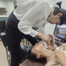 싱싱코리아 이미지