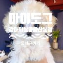 마이도그 강아지분양 울산본점 | 울산 애견샵/애견분양 마이도그 강아지분양 울산본점