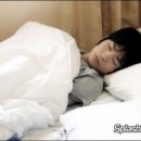 도현