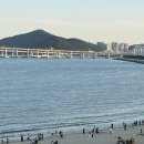 대한 | 김해-김포 대한항공 국내선 후기 | 부산 KTX 버스 매진이면 비행기가 답! ✨