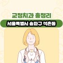 알토란치과의원 | 서울특별시 송파구 석촌동 교정치과 총정리