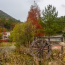 여수봉황산자연휴양림 이미지