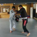 주짓수 쎈짐 이미지