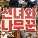 선녀와나무꾼포차 네이버블로그