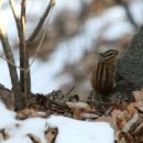 범계초등학교 뒤 이미지