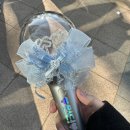 앨리붙임머리 | 세상에서 누가 제일 바쁘게? 오타쿠