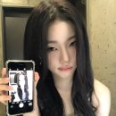카시아