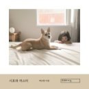 러스티 이미지