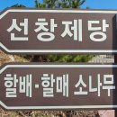 선창입구 이미지