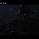 스포모티브