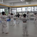 용인대 챌린지 태권도장 이미지