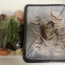 성남대로 1139번길 이미지