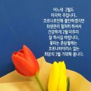 김흥기농장 Daum카페