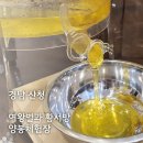 세상에서 가장 달콤한 체험. 지리산 산청 여왕벌과 황서방 양봉 체험장.