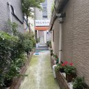 최영순의평양고기국수