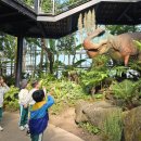 신월초교병설유치원 이미지