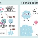 생명물식품(주)