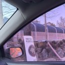 더히로 플레이그라운드 | 포천 강아지 펜션 글램핑 더히로플레이그라운드 후기