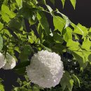 나홀로짐 범물점 이미지