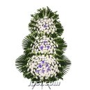 주안영안실 이미지