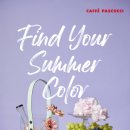 제비스코 이미지