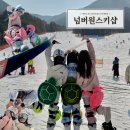 넘버원펜션 | 무주스키장 거북이 보호대 대여 가능한 무주렌탈샵 넘버원스키샵