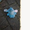 데이라이트 이미지