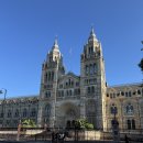 옥스포드 | [영국] 런던 근교 여행 추천 옥코투어 후기 | 코츠월드 옥스포드 당일치기