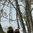 모아온천 | 홋카이도 1월 온천여행) 키타유자와 호로호로산소ほろほろ山荘 온천 정보와 후기, 시코츠코 다녀오기