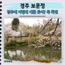 보문정 | CNN 선정 명소라더니? 경주 보문정 벚꽃 실시간 현황(현재 물 없음 주의)