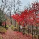 금미용실 - 남구 방림동 | 금미용실