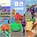 신나는 통기타 | 정선 사과축제 2025 강원도축제 시식 체험 먹거리 후기 (임계사과축제)