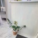 회복지압원 이미지