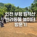반려동물놀이터 | 부평 원적산공원 반려동물 놀이터 후기🐾 소형견/대형견 공간까지 완벽!