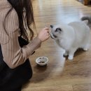 비취색이 너무 고운 다듬나리 예단함 후기(*＾3＾)/～☆ 예비시댁에서 정말 좋아하셨어요!