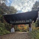 백담데크길과 십이선녀탕계곡 이미지