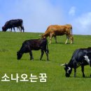 비서재준