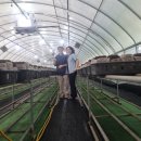 김윤영 농장 이미지