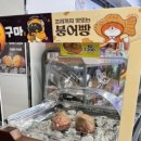 GS25울산꽃바위점 이미지