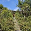 영호루 화장실 이미지