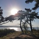 남구-010 이미지