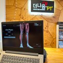 더나음 피티 이미지