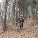 엄사약국 이미지