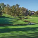 필드 골프클럽 이미지