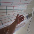 푸른정의원 이미지