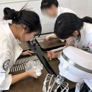 경북자연과학고등학교 이미지