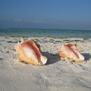 행복여관 이미지