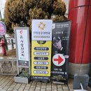 한빛마취통증의학과의원 네이버블로그