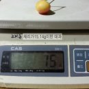 이재익 농장 네이버블로그